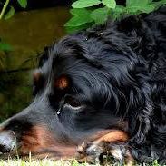 Catherine Barber Photo 12