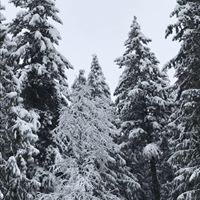 Tracy Giles Photo 29