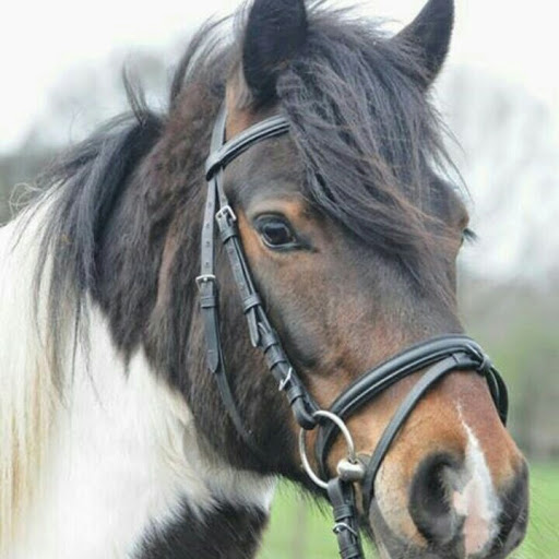 Anna Schultz Photo 20