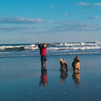 Nancy Zeigler Photo 16