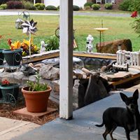 Cindy Rhoads Photo 26