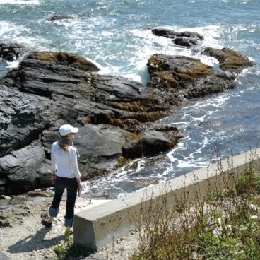 Jennifer Wolfe Photo 27