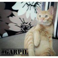 Erin Stewart Photo 35