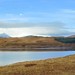 Bonnie Ness Photo 26