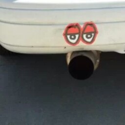 Ryan Rutledge Photo 8