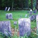 Mary Fredericks Photo 32