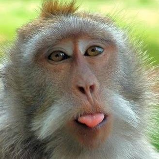 Barbara Powers Photo 40