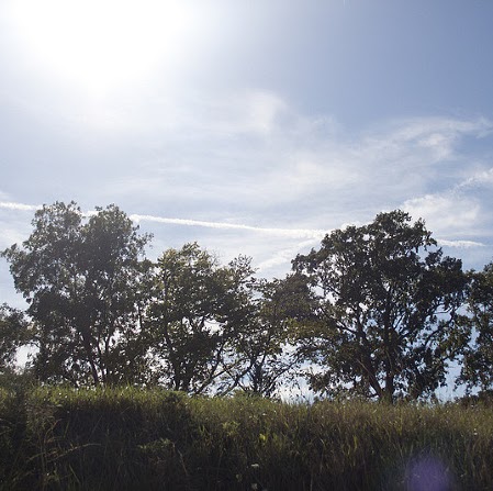 Meagan Morris Photo 8