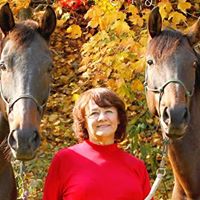 Katherine Chamberlain Photo 8