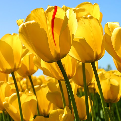 Christina Messer Photo 3