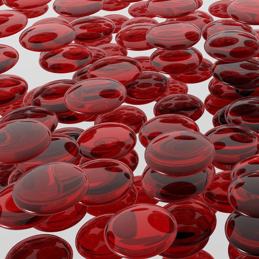 Michael Lohr Photo 37