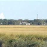 Sarah Whitt Photo 20