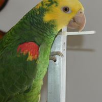 Marilyn Reeder Photo 5