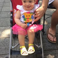 Robert Bodine Photo 16