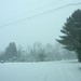 Vickie Snow Photo 28