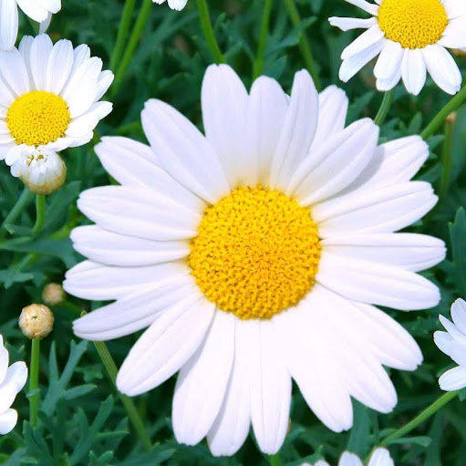 Jessica Looney Photo 4