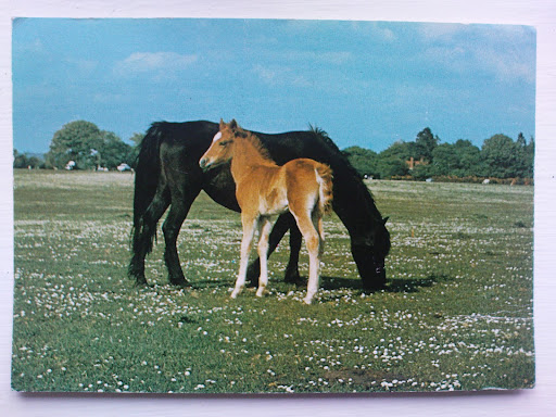 Vanessa Eaves Photo 2