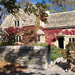 Robin Greenfield Photo 27