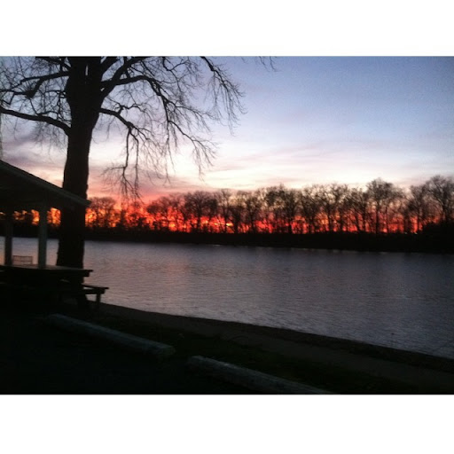 Nancy Holbrook Photo 5