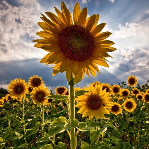 Vickie Taylor Photo 12