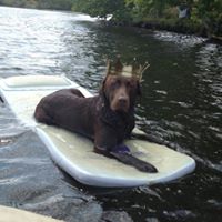 Sue Trimble Photo 16