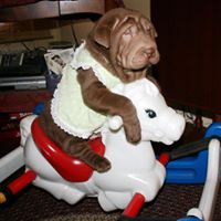 Barbara Reeves Photo 10