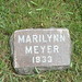 Marilynn Meyer Photo 4
