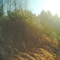 Becky Griffis Photo 15