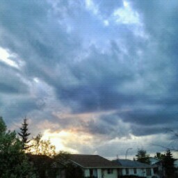 Ann Gauthier Photo 17