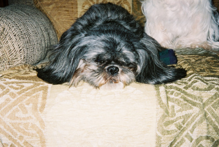 Linda Ashcraft Photo 20