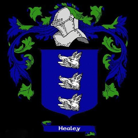 Scott Healey Photo 10