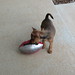 Hazel Vaughn Photo 23