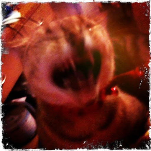 Jean Fraser Photo 35