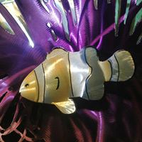 Sean Tuttle Photo 15