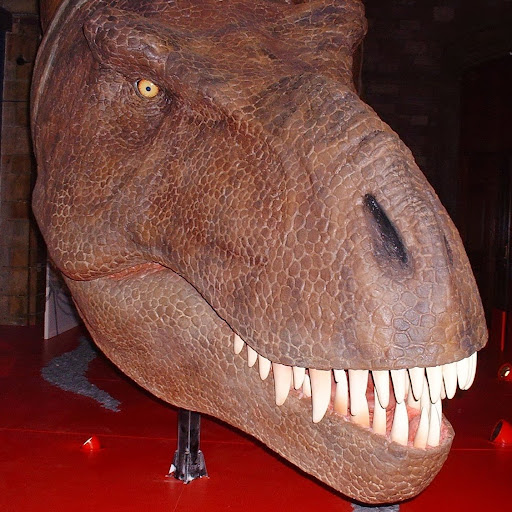 Alexander Sweet Photo 23