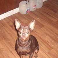 Dawn Conner Photo 20