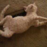 Travis Lowe Photo 41