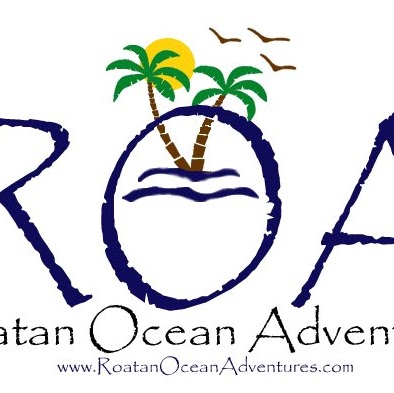 Herbert Woods Photo 4