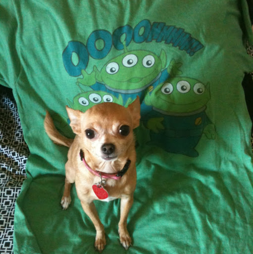 Susan Youngblood Photo 28