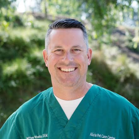 Matthew Wheaton Photo 12