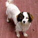Lisa Nieves Photo 38
