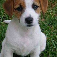 Crystal Rankin Photo 21