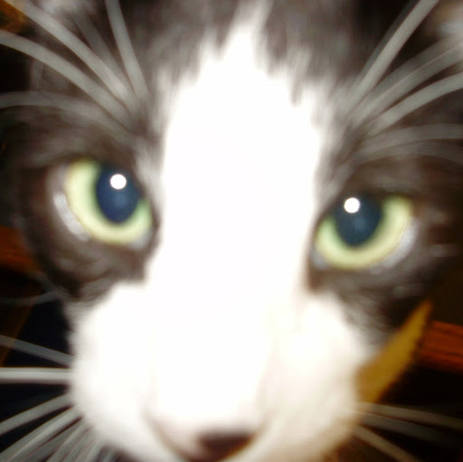 Janet Pierce Photo 16