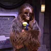 Jill Simmons Photo 28