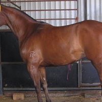 Steven Stanek Photo 13