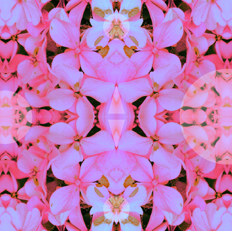 Victoria Glass Photo 5