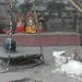 Joy Basham Photo 3
