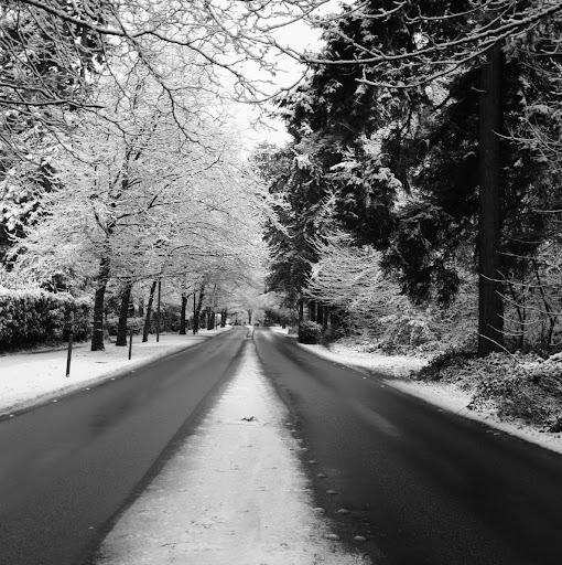 Mary Quinlan Photo 16