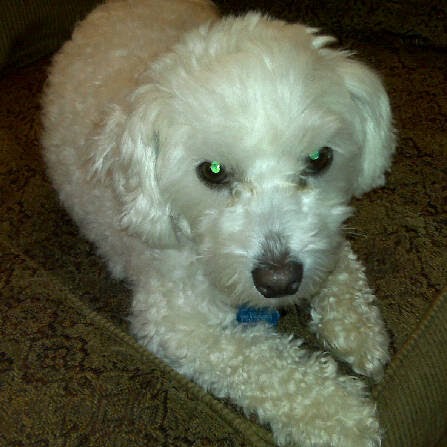 Kristi Nichols Photo 33