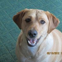 Lois Swanson Photo 22